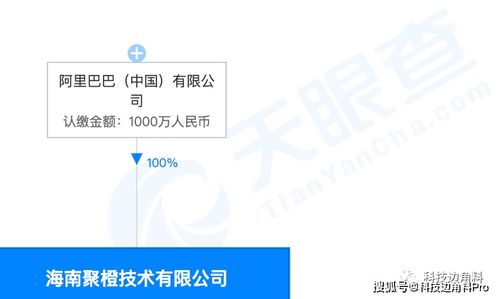 阿里巴巴成立海南聚橙技術(shù)公司，注冊(cè)資本1000萬(wàn)元加碼信息系統(tǒng)集成服務(wù)